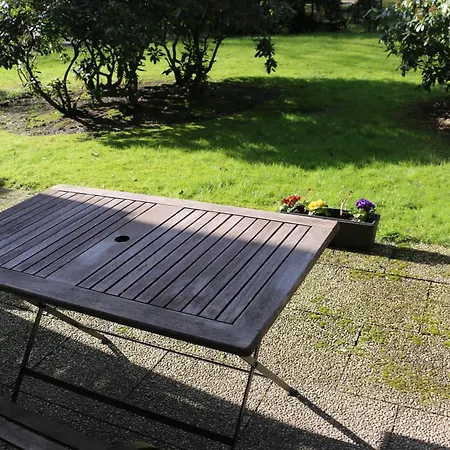 Quiet Flat With Terrace And Garden Essen