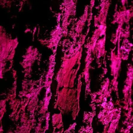 דירה Quiet Flat With Terrace And Garden