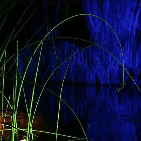 Quiet Flat With Terrace And Garden דירה אסן