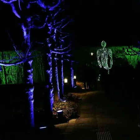 Quiet Flat With Terrace And Garden דירה *