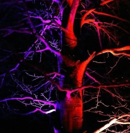 Quiet Flat With Terrace And Garden *