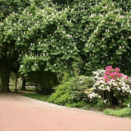 Quiet Flat With Terrace And Garden * אסן