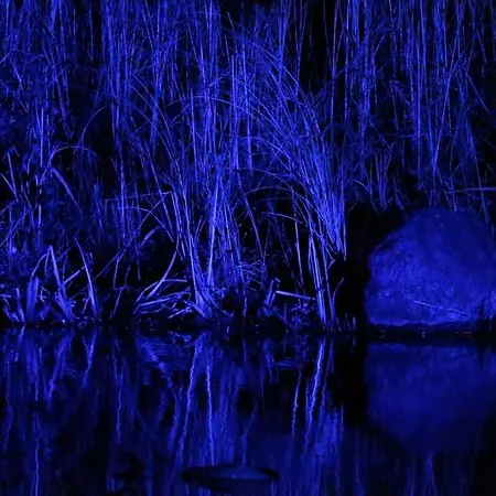 Quiet Flat With Terrace And Garden דירה