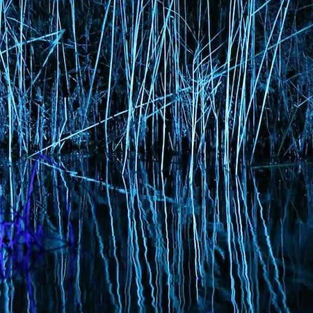 Quiet Flat With Terrace And Garden דירה אסן