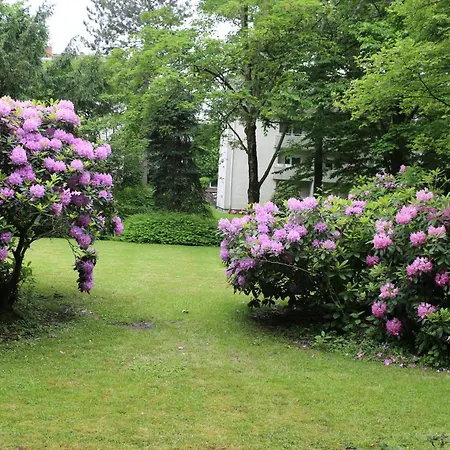 Quiet Flat With Terrace And Garden * Essen