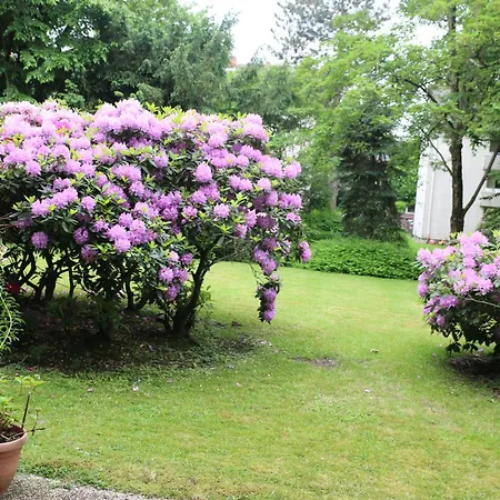 Quiet Flat With Terrace And Garden