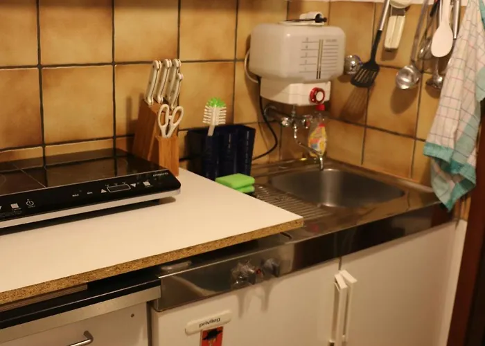 Quiet Flat With Terrace And Garden Apartment