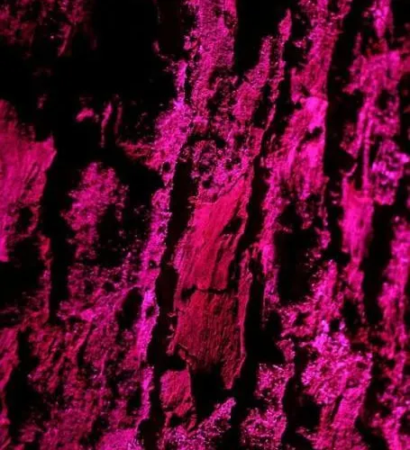 Διαμέρισμα Quiet Flat With Terrace And Garden