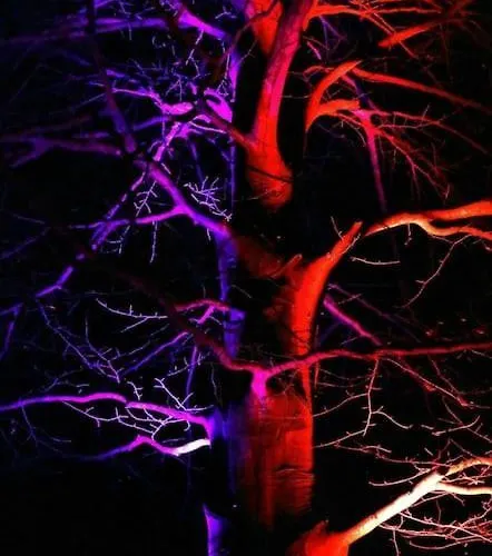 Quiet Flat With Terrace And Garden *