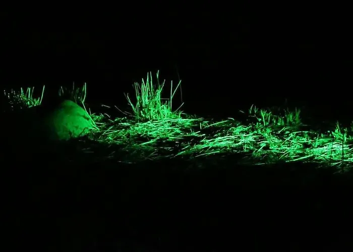 Quiet Flat With Terrace And Garden