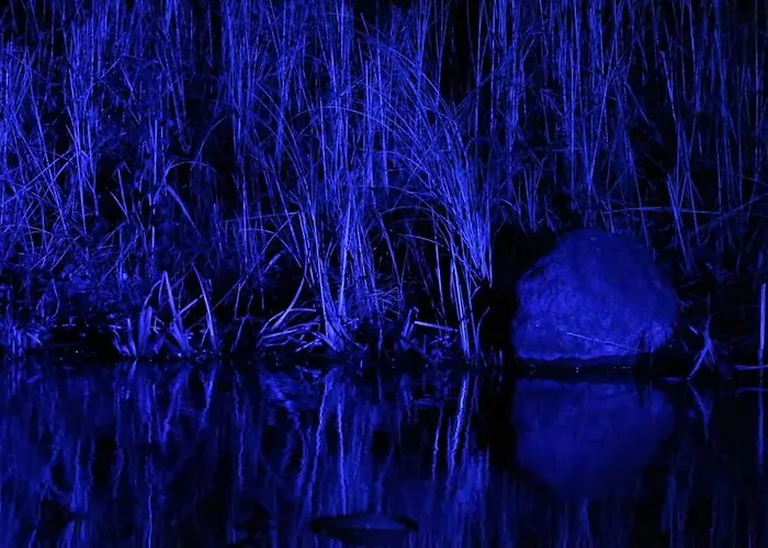 Quiet Flat With Terrace And Garden Apartment