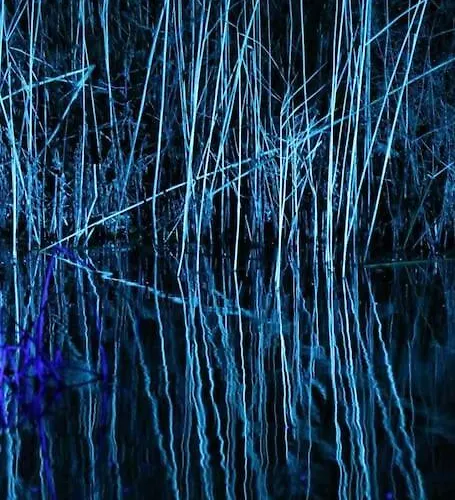 Quiet Flat With Terrace And Garden Apartment Essen