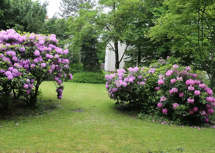 Quiet Flat With Terrace And Garden * 埃森
