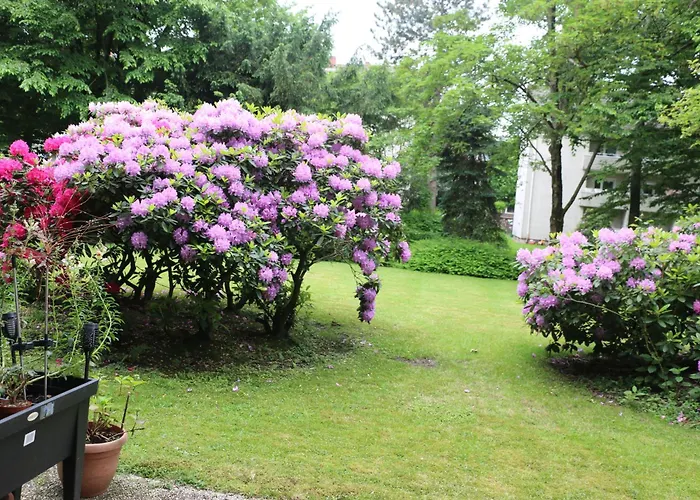 Quiet Flat With Terrace And Garden